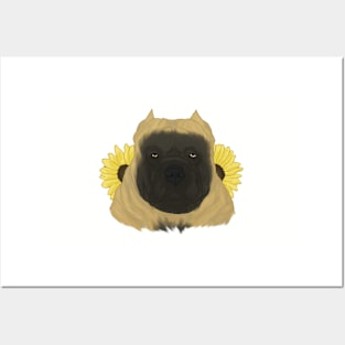 Fawn American Bully with Sunflowers Posters and Art